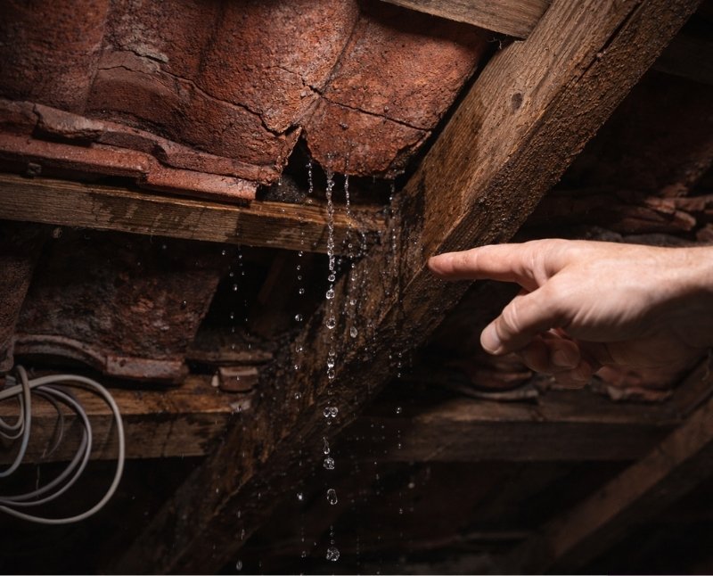 Understanding What Home Insurance Covers for Roof Leak Repairs